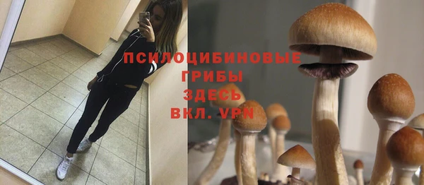 эйфоретик Бородино