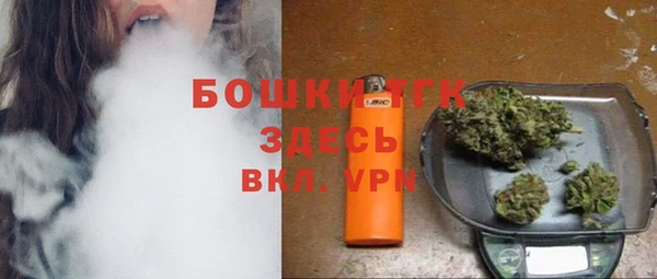 шишки Бронницы