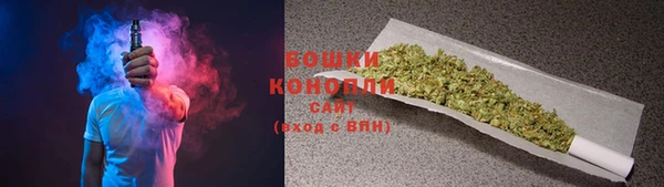 шишки Бронницы
