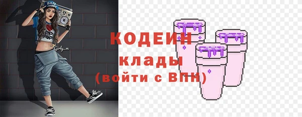 шишки Бронницы