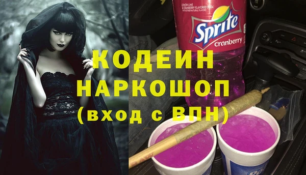 шишки Бронницы