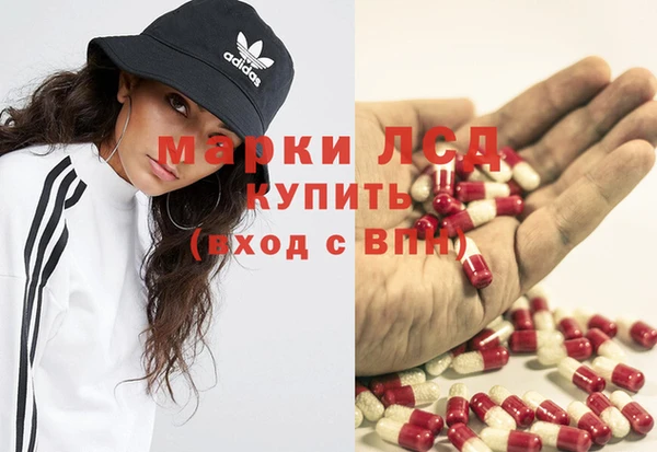 эйфоретик Бородино