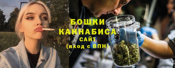 эйфоретик Бородино