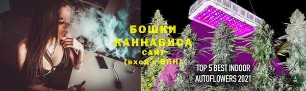 эйфоретик Бородино