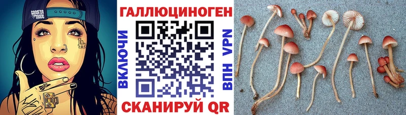 это формула  Сосногорск  Галлюциногенные грибы Psilocybe 