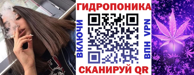 где купить наркотик  Сосногорск  Конопля индика 